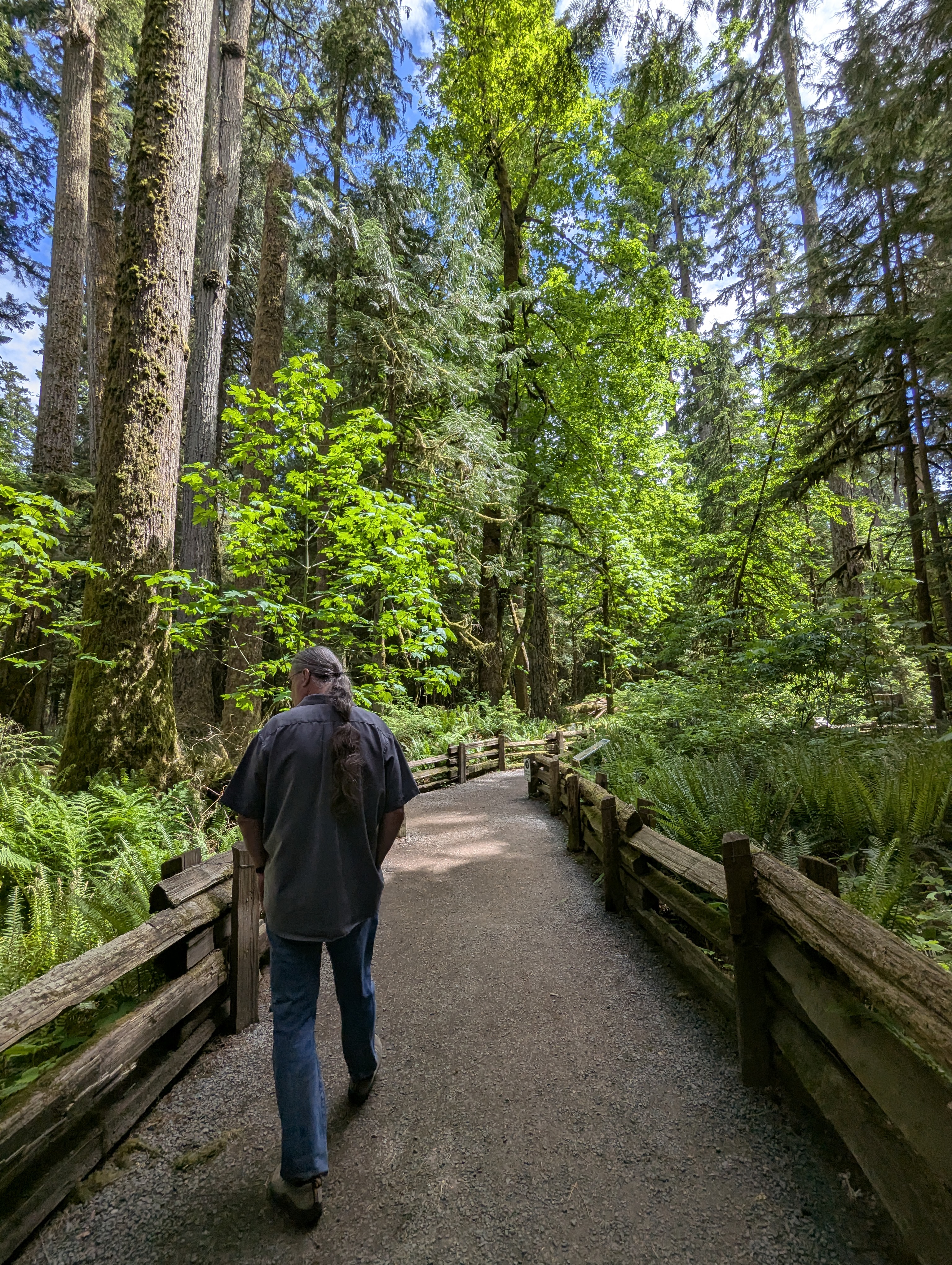 Birthday Trip to Canada, Cathedral Grove, Vancouver Island